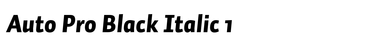 Auto Pro Black Italic 1 image